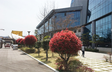 오션프라자